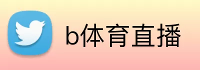 b体育直播 Logo